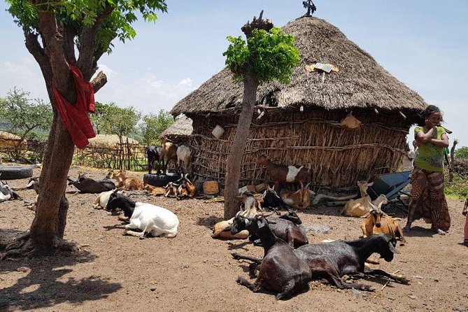 Day-Trip Church of Adadi Mariam from Addis Ababa - Melka Kunture reaches beyond human memory