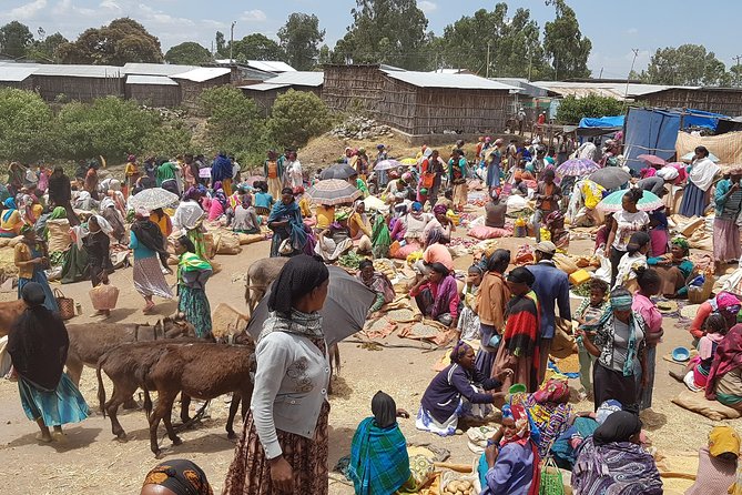 Day-Trip Church of Adadi Mariam from Addis Ababa - How the timing feels in real life
