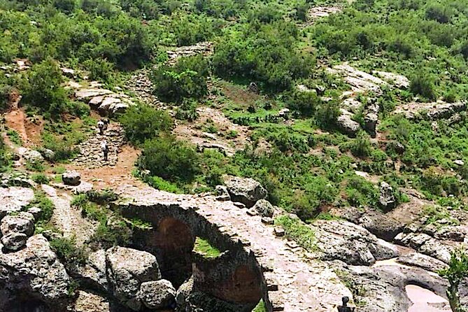 Day Trip Debre Libanos Bule Nile George and Portugal Bridge - Who will enjoy this day trip most?