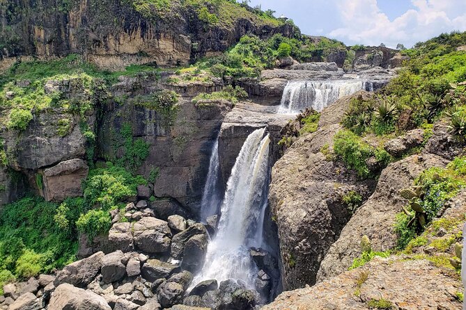 Day Trip From Addis Ababa See Historical Monastery,Stunning Nature,Animals,Birds - Ethiopian coffee and lunch on the road