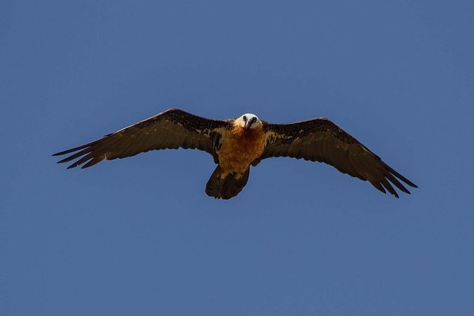Day Trip From Addis Ababa See Historical Monastery,Stunning Nature,Animals,Birds - Should you book it?