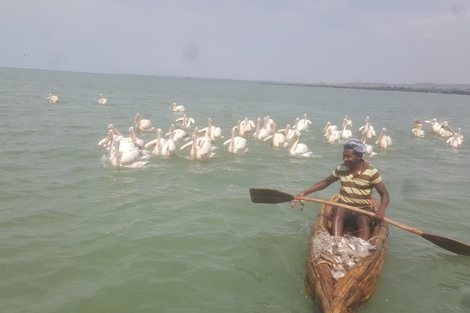 Day trip on Bahir dar. To visit lake tana monasteries and Blue Nile Falls. - Why this makes a strong Bahir Dar day trip