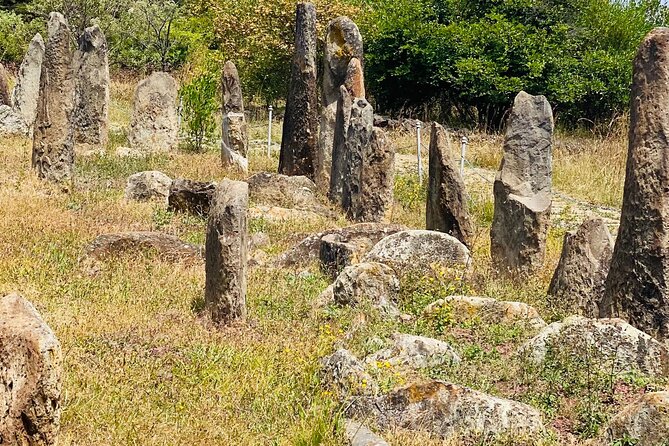 Day Trip to Adadi Rock and Tiya Archeological Excursion - Three windows into Ethiopia’s past