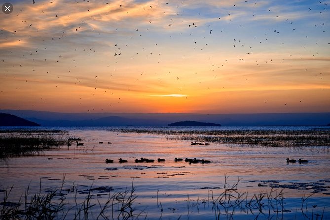 Day Trip To Lake Ziway - Bird-watching around the lake