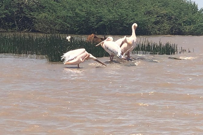 Day Trip To Lake Ziway - Is $275 per person good value?