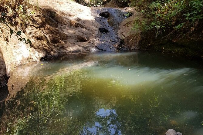 Day Trip to Menagesha Suba Forest from Addis Ababa - Birds, bushbuck, and realistic wildlife hopes