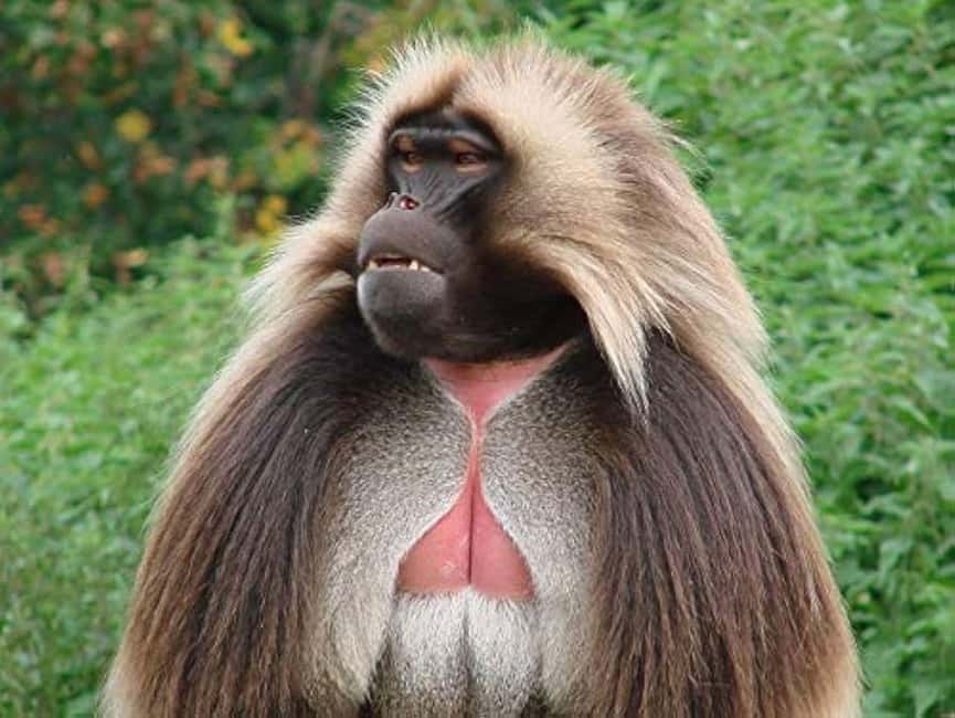 Day Trip To See Monastrys,Amazing landscapes & Animals - What the $120 price includes