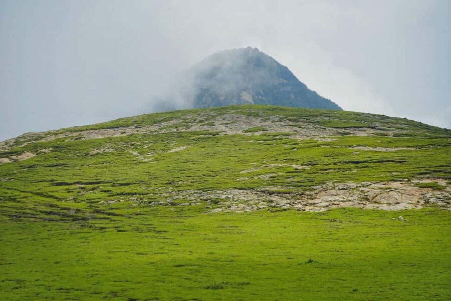 Day Trip To See Monastrys,Amazing landscapes & Animals - Should you book the Debre Libanos day trip?