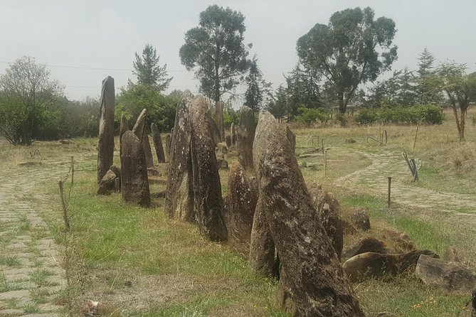 Day Trip to Tiya UNESCO Site & Melka Kunture Archaeological Site - Key points to know before booking