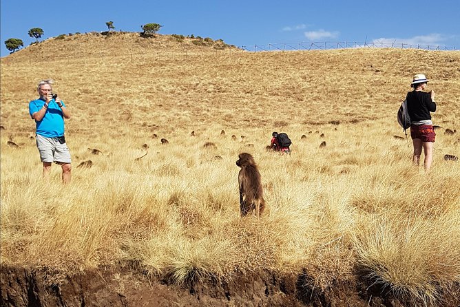 Debre Libanos Monastery and Jemma River Gorge - Day Tour from Addis Ababa - The guides make a practical difference