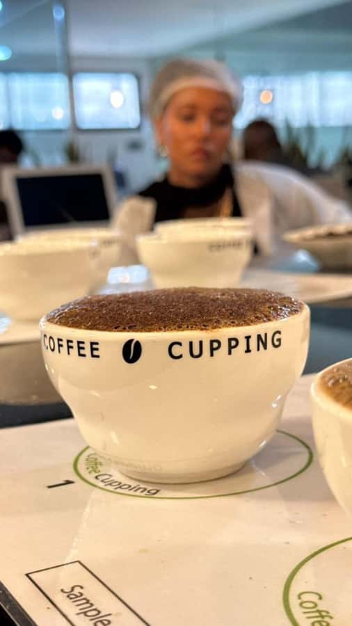 Ethiopia coffee cupping class/Ethiopian food injera making - Coffee first: understanding Ethiopia in the cup