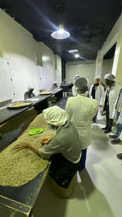 Ethiopia coffee cupping class/Ethiopian food injera making - What the $94 price gets you