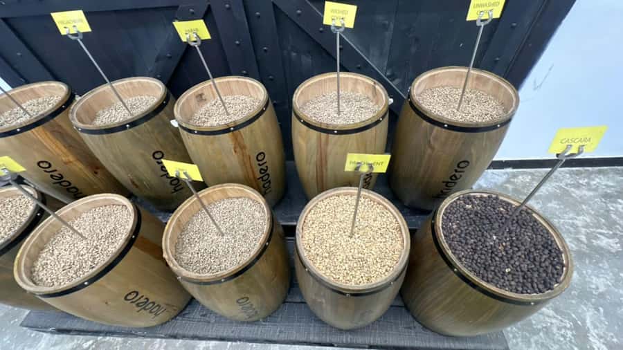 Ethiopia coffee cupping class/Ethiopian food injera making - Who should book this Addis Ababa experience