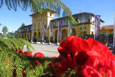 Full Day Addis Abeba City Tour
