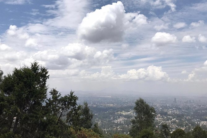 Full Day Addis Abeba City Tour - What the $110 price really buys you