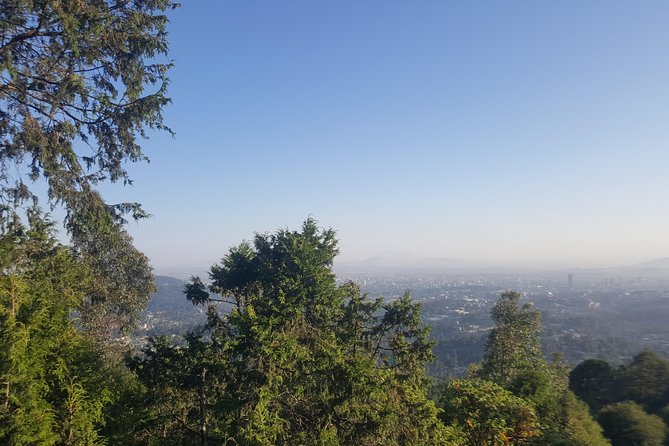 Full Day Tour of Addis Ababa with Hotel Pickup and Drop-off - St. George’s Cathedral and Ethiopian religious life