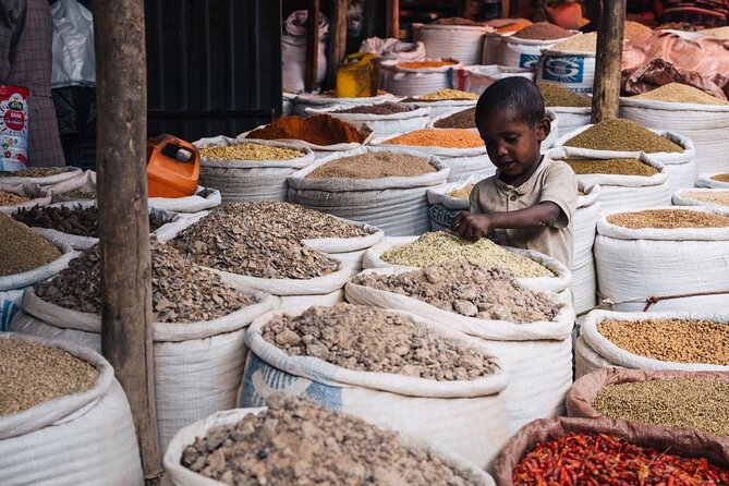 Full & Half Day City Tour Of Addis Ababa - Is $75 a fair price?