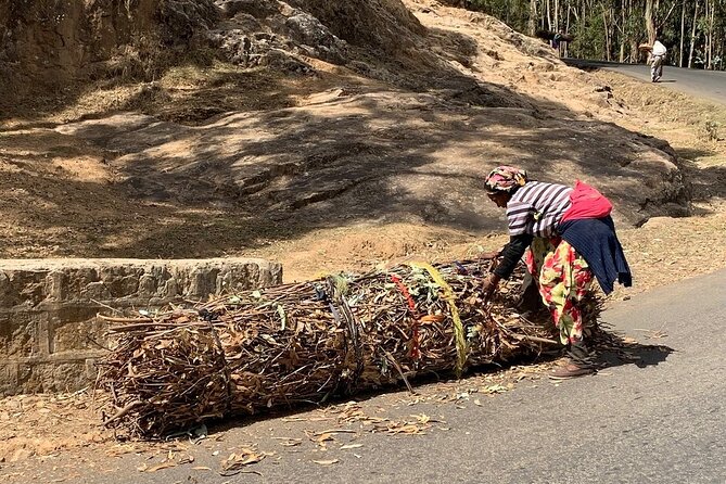 Half Day Addis Ababa City Tour - Timing, food, and what to bring