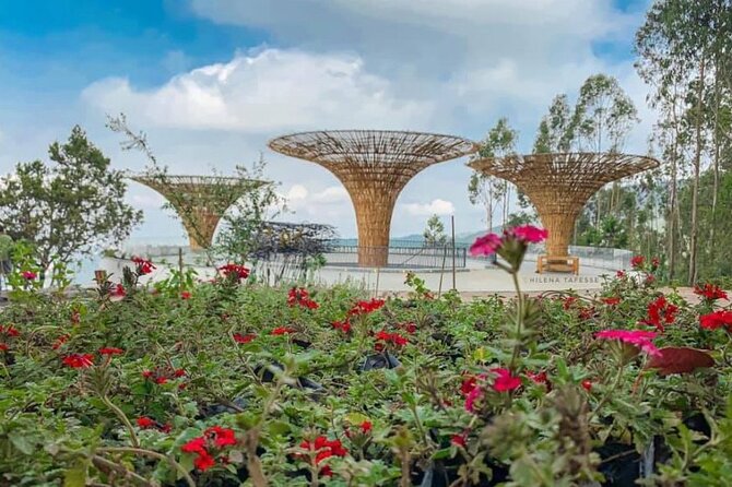 Half Day Addis Ababa City Tour - Who should book this half-day tour?