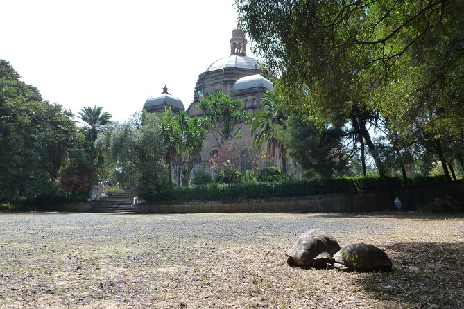 Hidden Treasures of Addis Ababa - Food, Culture and History Tour - Why this Addis Ababa day works so well