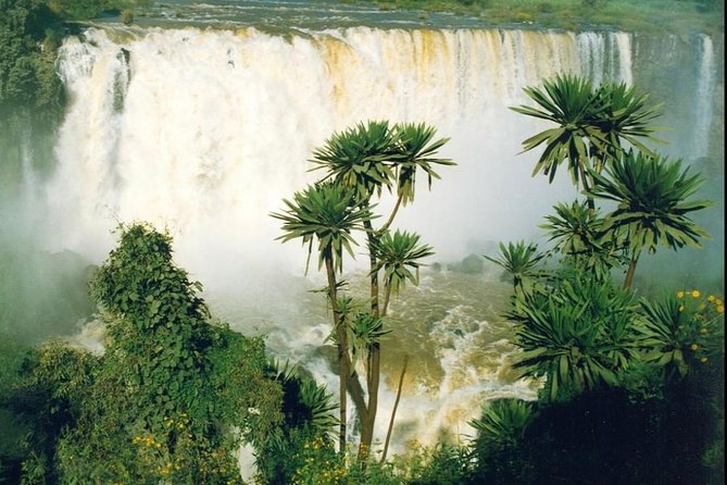 Historical-tour Lalibela Gonder & Bahir Dar - Day 1: Lake Tana and the monasteries of Bahir Dar