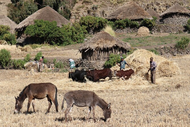 Lalibela 2-Day Eco Trekking Tour - Staying with a highland family near Astabir