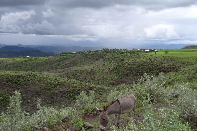 Lalibela churches Guided Tour - Bet Giyorgis, the cross-shaped finale