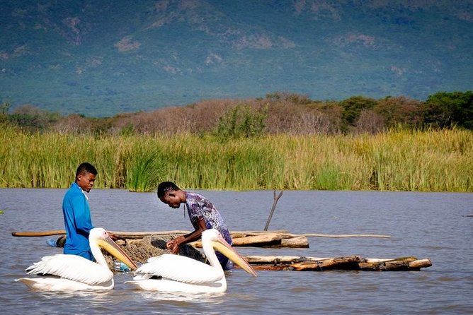 Northern Ethiopia Historic Route - Lake Tana brings water, churches, birds, and a slower rhythm