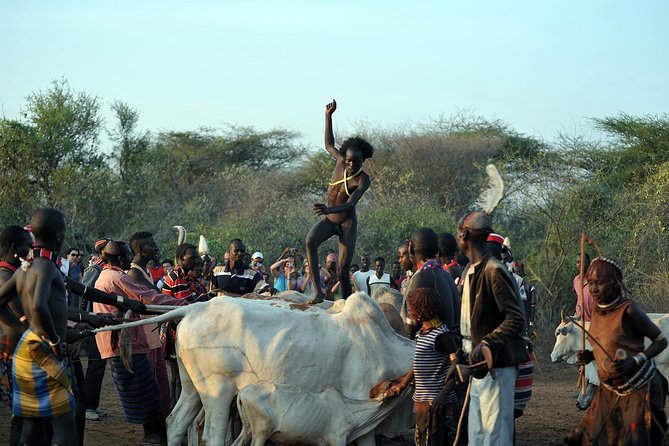 Omo Valley 5 Days - What the $1,153.85 price covers