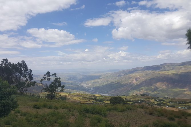 Private Day Trip to Debre Libanos Portuguese Bridge Galada Baboon - Looking for gelada baboons and vultures