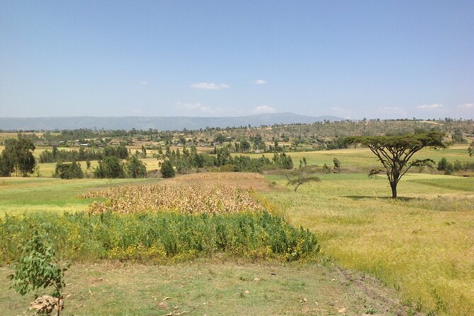 Private Full-Day Stone Age and Medieval Tour from Addis Ababa - Why this route works for a short stay in Addis Ababa