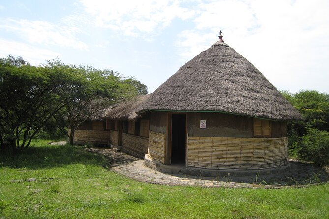 Private Full-Day Stone Age and Medieval Tour from Addis Ababa - Tiya: carved stones and unanswered questions