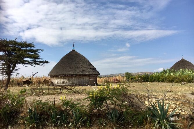 Private Full-Day Stone Age and Medieval Tour from Addis Ababa - The road to Adadi Mariam and a slower rural Ethiopia