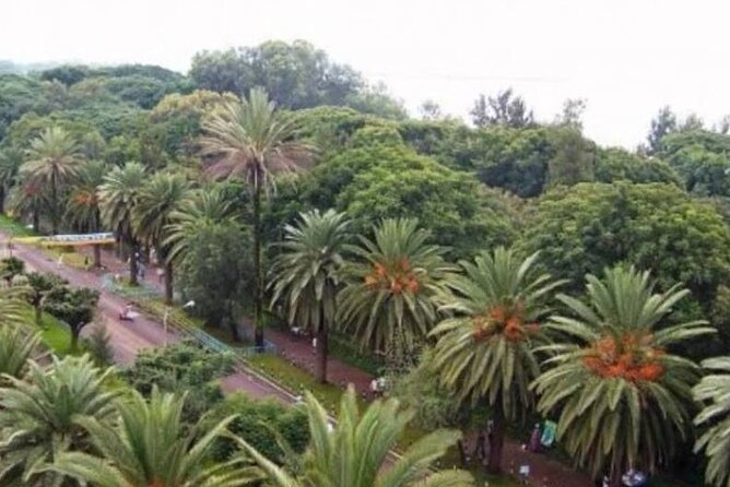 Private Guided Tours To Bahir Dar Lake Tana Monastery & Blue Nile Waterfalls - Driving to Tis Isat and the Blue Nile Falls