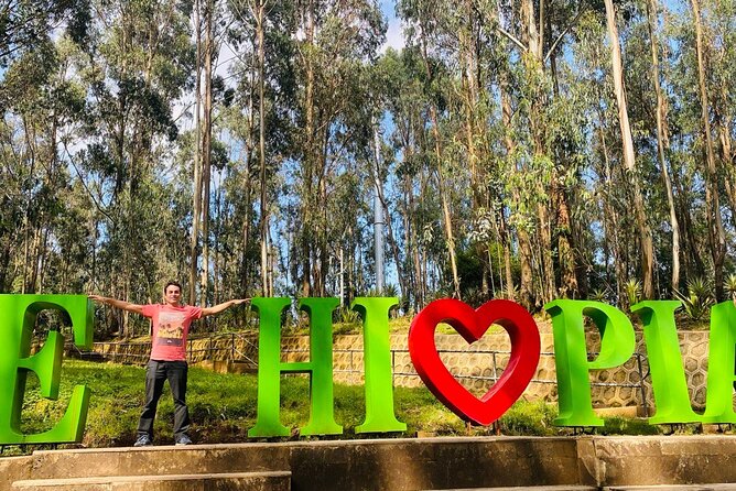 Private Half Day Guided tour in Addis Ababa New Flower - Patriots Square and the approach to Merkato