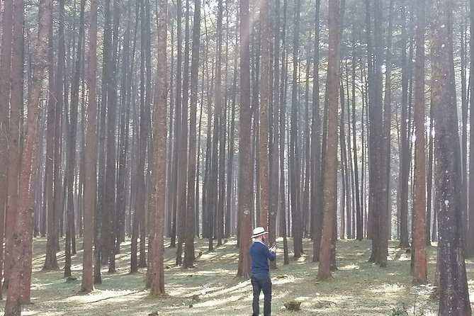 Round Trip to Menagesha Suba Forest Park - Leaving Addis Ababa for Menagesha Suba