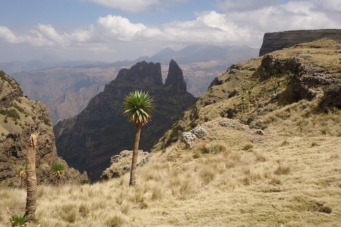Simien Mountains National Park – 7 Day Trek - Day 6: Rivers, monkeys, and the climb to Mulit