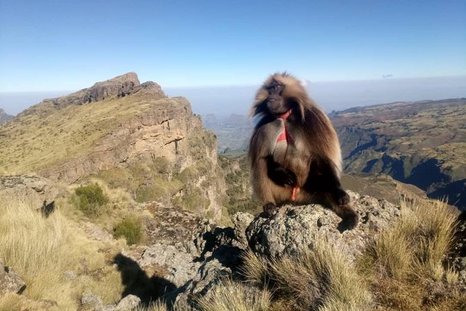 Simien Mountains Trekking Adventure - Why the Simien Mountains are worth walking