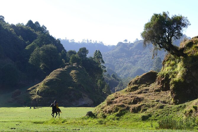Stunning Views Wonchi Crater Lake a Private Day Trip - The 7:00 am departure from Addis Ababa