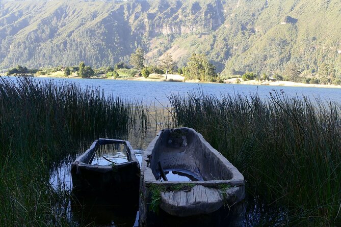 Stunning Views Wonchi Crater Lake a Private Day Trip - Birds, colobus monkeys, and quiet moments