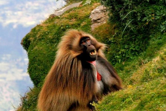 Two days Lake Wenchi and Menagesha Forest - Two Ethiopian escapes in one short trip