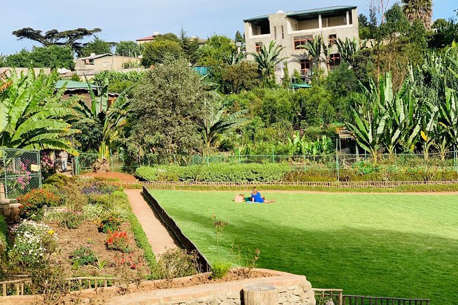 Walking Tour of Addis Abeba - Discover Addis the Authentic way - Choosing Tomoca Coffee or a coffee ceremony